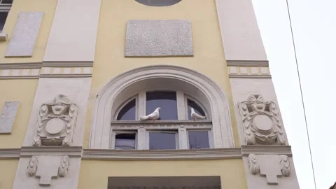 Slow Motion Two White Pigeons on Arched Window in Sofia Video stock 340044226
