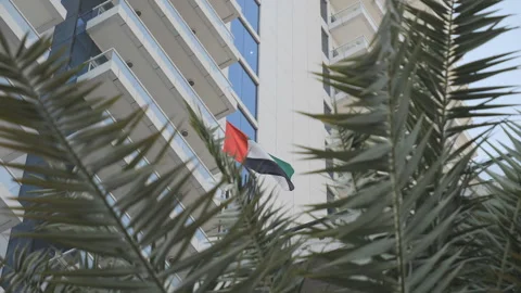 Slow Motion. The U.A.E. flag waving in the wind seen through the tree branches. Stock Footage 234944210