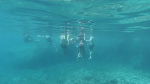 Slow motion underwater back view of adult group swimming in ocean Stock Footage 138430180