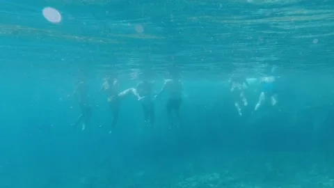 Slow motion underwater back view of adult group swimming in ocean Stock Footage 138430545