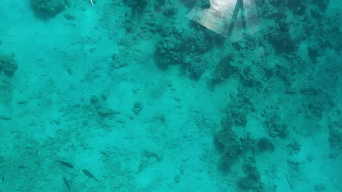 Slow motion underwater at depth - view through glass (16) Stock Footage 133120747