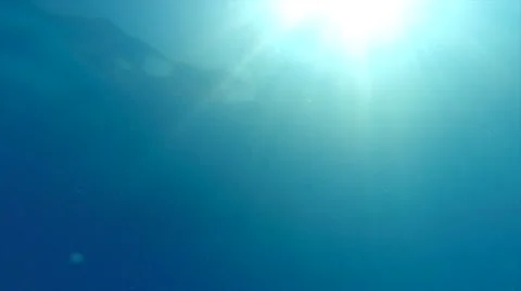 Slow motion underwater dive Stock Footage 47853016