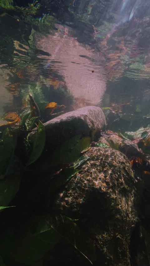 Slow motion underwater sun rays hitting rocky lake floor. Stock-Footage 283647624