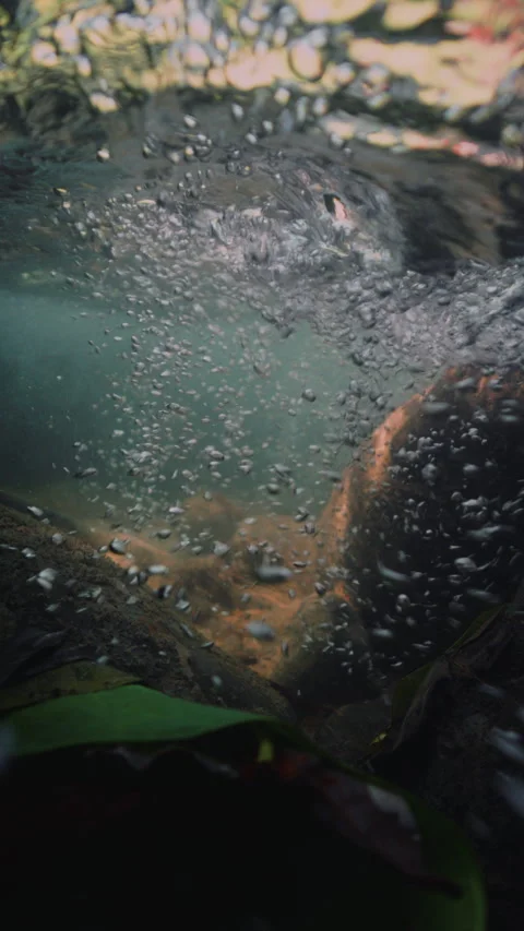 Slow motion underwater sun rays hitting rocky lake floor. Stock-Footage 283649928