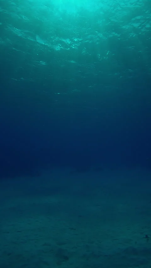 Slow motion of underwater sun rays shines below water illuminating the sea Stock Footage 324569264