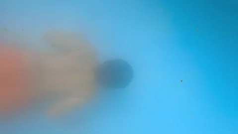 Slow motion underwater view of a boy diving and crossing the pool Stock Footage 306937735