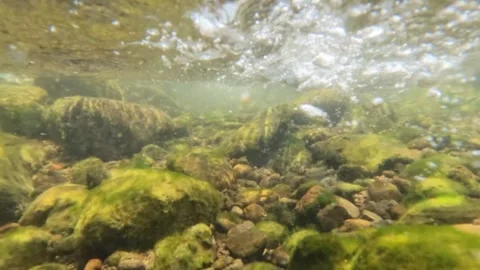 Slow motion underwater view of bubbles and clear water currents Stock Footage 323149826