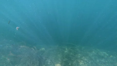 Slow motion underwater view of pebbles and dead tree branches in the lake Stock Footage 135175443
