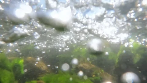 Slow motion underwater view of river rocks covered with green moss Stock Footage 320920733