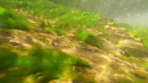 Slow motion underwater view of river rocks covered with green moss Stock-Footage 320920758