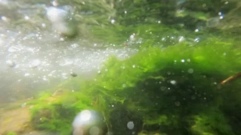 Slow motion underwater view of river rocks covered with green moss Stock-Footage 320920768