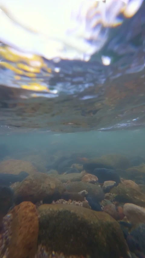 Slow Motion Underwater View of Rocks in Crystal Clear Water Stock Footage 308431893