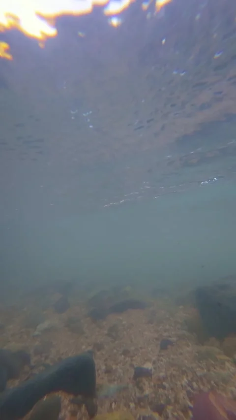 Slow Motion Underwater View of Rocks in Crystal Clear Water Stock Footage 308433185