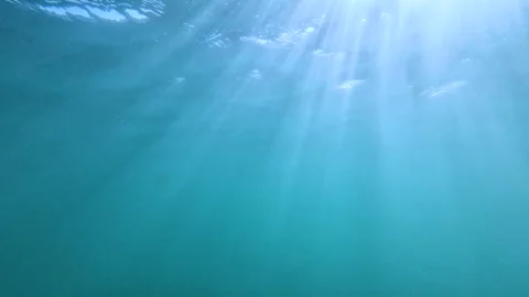 Slow motion underwater view with sunlight rays Turkey Stock Footage 317188159