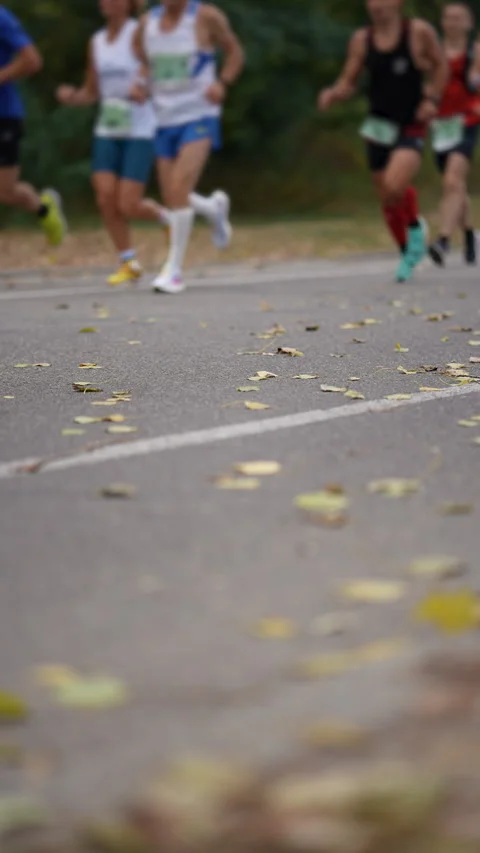 Slow motion unrecognizable athletes running marathon on road with fallen leaves Stock Footage 273920992
