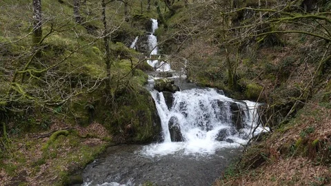 Slow motion upland stream passing through steep oak woodland Video stock 108055141