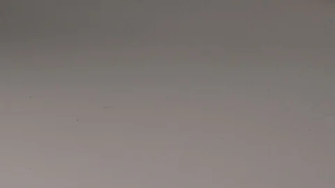 Slow motion of US coins falling on table and penny flipping Stock Footage 117626413
