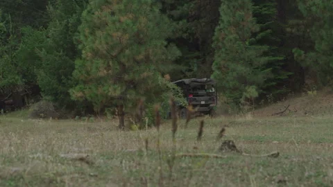 Slow motion of UTV driving through pine forest in hunting season in Idaho Stock Footage 321424268