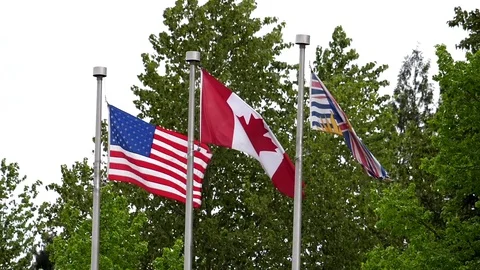 Slow motion of various world flags flying on flagpoles in a cloudy sky Video stock 75944941