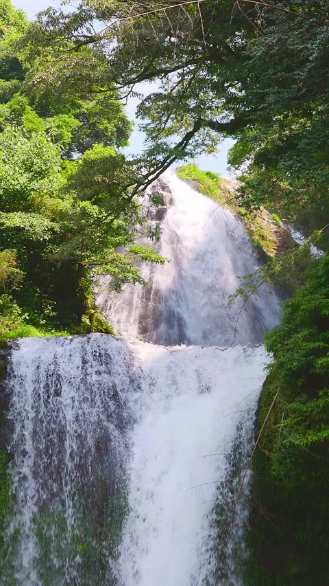 Slow motion vertical close up of Jion Falls framed by green tree canopy 動画素材 341806418
