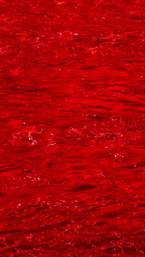 Slow motion vertical video of vivid red water surface with reflections. Stock Footage 305927712