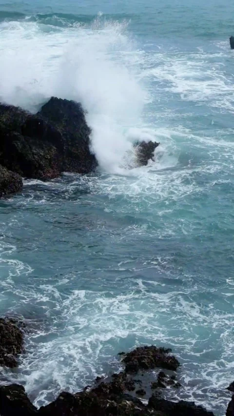 Slow motion vertical video of waves crashing into coral reefs Stock Footage 319845795