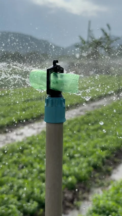Slow motion vertical view highlights a working sprinkler irrigating green garden Vídeo Stock 326215761