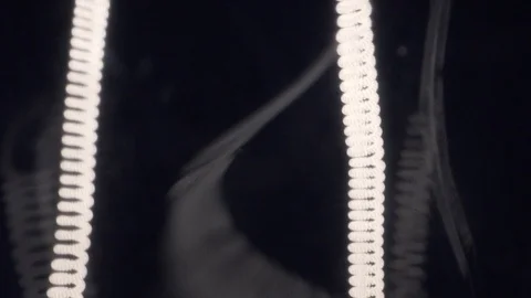 Slow motion Vibrating Lightbulb Macro Video stock 112263946
