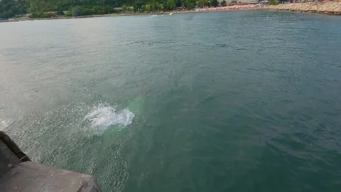 Slow motion video of an 11-year-old boy diving into the sea from a pier on a Stock Footage 317610676