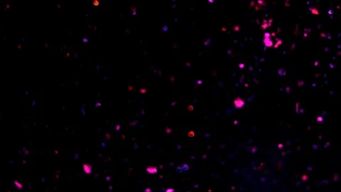 Slow motion video abstract background with blue and violet shiny sparkling bokeh Stock Footage 121631164