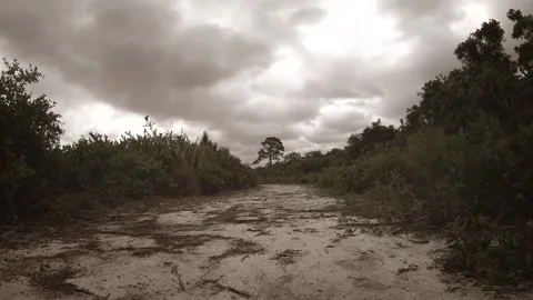 Slow motion video with amazing clouds. Stock Footage 152426617