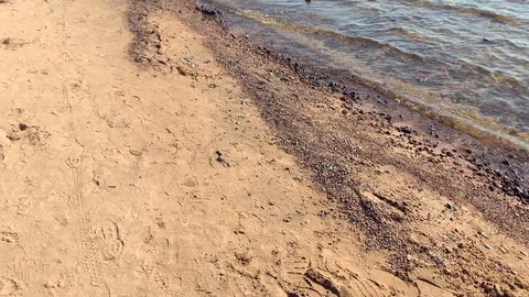 Slow motion video of a beautiful summer landscape of the coastal strip Stock-Footage 115696436