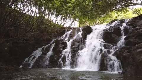 Slow motion video of a beautiful waterfall in Mauritius Stock Footage 127956900