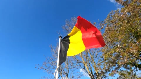 Slow motion video of the belgian flag waving in the wind Stock Footage 153356747