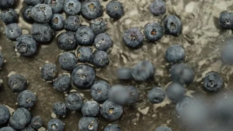 Slow motion video of blueberries falling into water on top of other berries Stock Footage 278315019