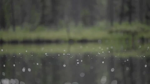 Slow Motion Video of Bugs on Lake Stock Footage 148000644