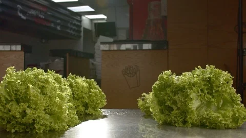 Slow motion video bunch of green lettuce leaves with drops falling on the table Stock Footage 116093656
