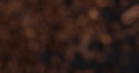 Slow-motion video captures the explosion of ground coffee and beans Stock Footage 260412210