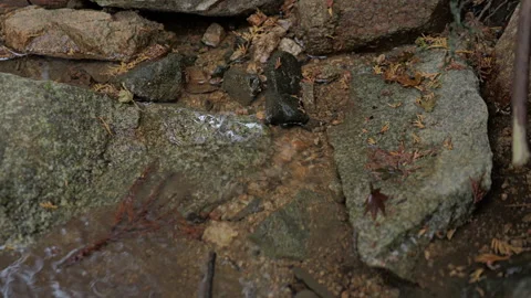 A slow-motion video capturing a small waterfall in a mountain stream Video stock 324559562