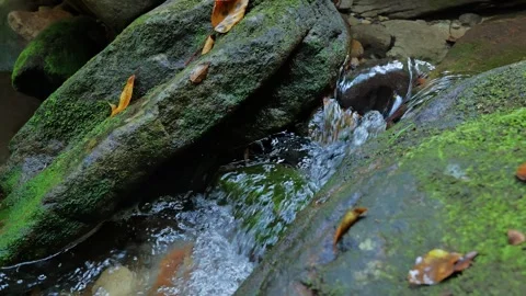 A slow-motion video capturing a small waterfall in a mountain stream Stock Footage 324560059