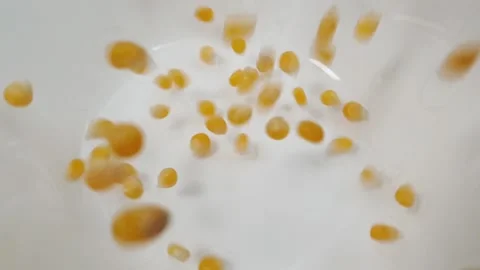 Slow motion video of corn kernels dropping into a white ceramic bowl. Stock Footage 160164588