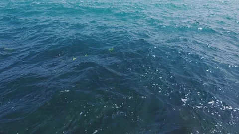 Slow motion video of deep blue ocean surface with gentle waves and sunlight Stock Footage 311156027