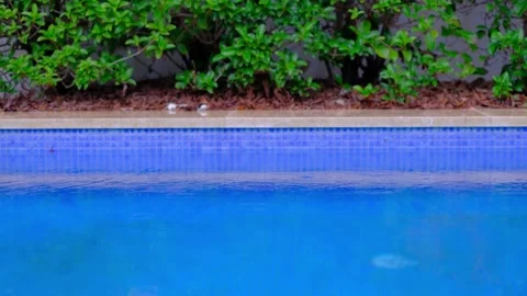 Slow motion video with droplets. Close up of a drop. Stock Footage 221089625