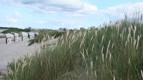 Slow motion video of dunes grass at windy weather on beach in north Germany Stock Footage 201824651