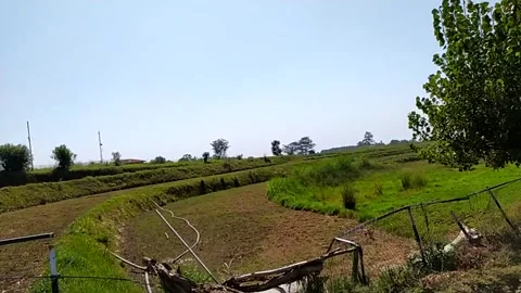 Slow motion video of fields from the road. Video stock 141805601