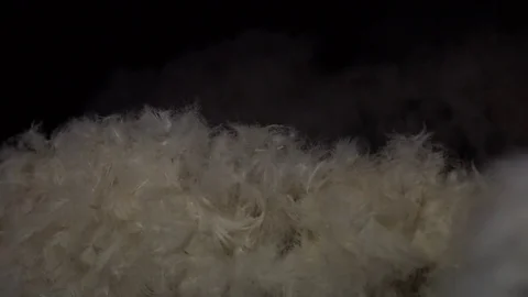 Slow motion video of the flakes of down moving in the dark, selective foc 스톡 동영상 71609498