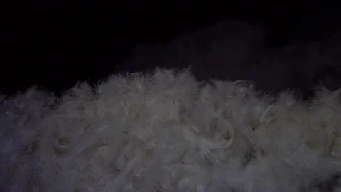 Slow motion video of the flakes of down moving in the dark, selective foc Vidéo 72718166