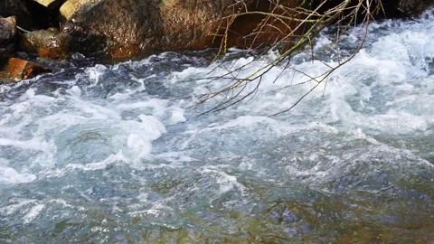 Slow motion video flow of a small mountain river flows from left to right w.. Stock Footage 344544576