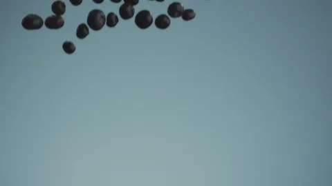 Slow motion video of fresh blueberries falling onto trickle of water Stock Footage 125295677