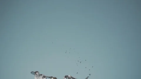 Slow motion video of fresh blueberries falling onto trickle of water Stock Footage 125420602